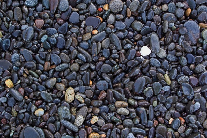 Close-up of coloured pebble beach on the Oregon coast, Cape Arago, Cape Arago State Park, USA, North America