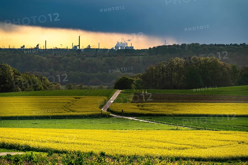 View over Mülheim an der Ruhr, Ickten, rape fields, over the Ruhr heights, to Duisburg-Hüttenheim, steelworks, blast furnaces, coking plant, of the Krupp-Mannesmann steelworks, HKM, North Rhine-Westphalia, Germany, Europe