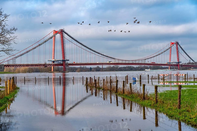 Flood on the Rhine, flooded Rhine meadows, fields, Rhine bridge Emmerich, road bridge of the B220, Lower Rhine, here near Emmerich, North Rhine-Westphalia, Germany, Europe