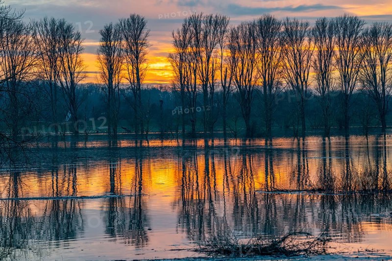 Bislicher Insel nature reserve, floodplain landscape on the Rhine, near Xanten, floods, flooded fields, meadows, North Rhine-Westphalia, Germany, Europe