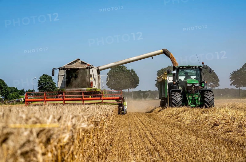 Agriculture, grain harvest, wheat, combine harvester harvesting in a wheat field, grain tank being emptied into a trailer, near Niederkrüchten, North Rhine-Westphalia, Germany, Europe