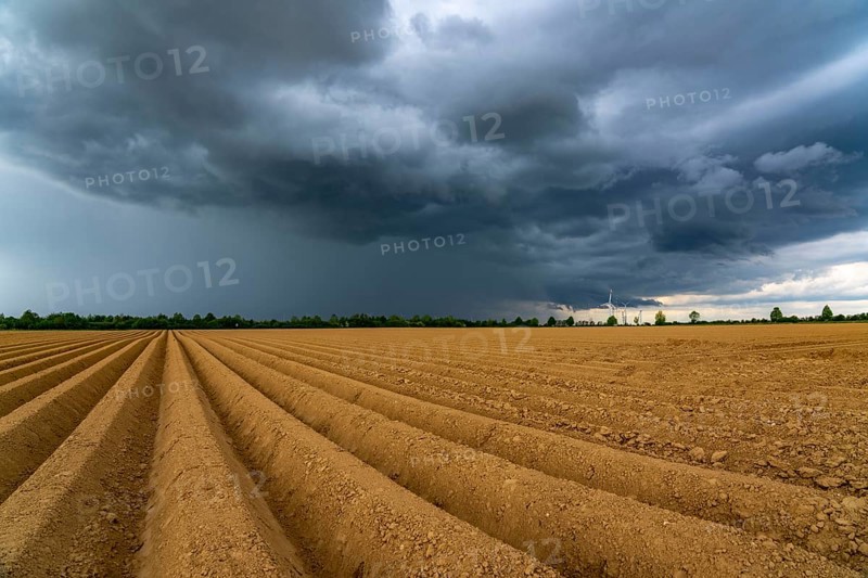 Dark rain clouds, thunderclouds over a potato field, near Grevenbroich, North Rhine-Westphalia, Germany, Europe