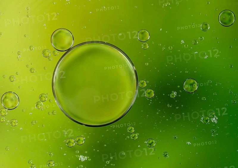 Colorful abstract macro background with oil drops in water