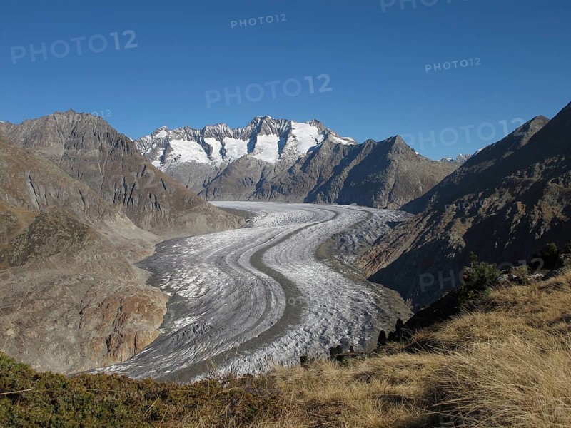 Aletschgletscher