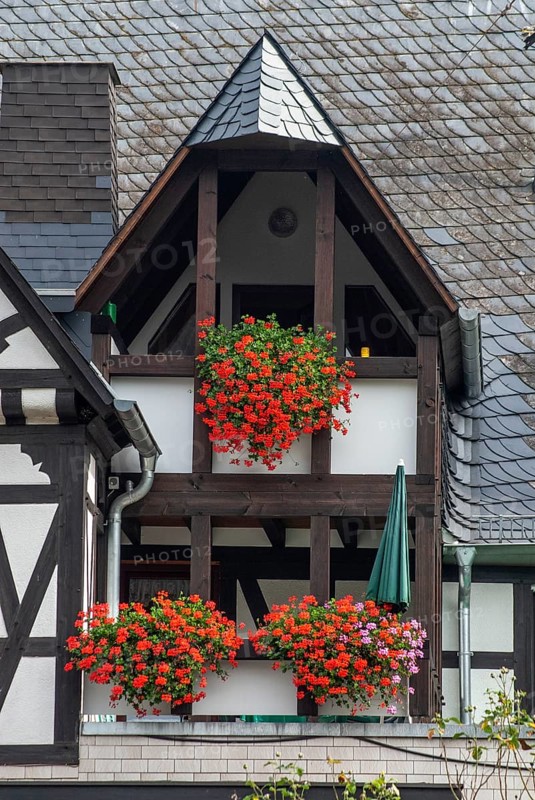 Balconies with lots of flowers in a typical half-timbered house with slate roof in Ernst, Landkreis Cochem-Zell, Mosel Valley, Moselle valley, Rhineland-Palatinate, Germany, Europe