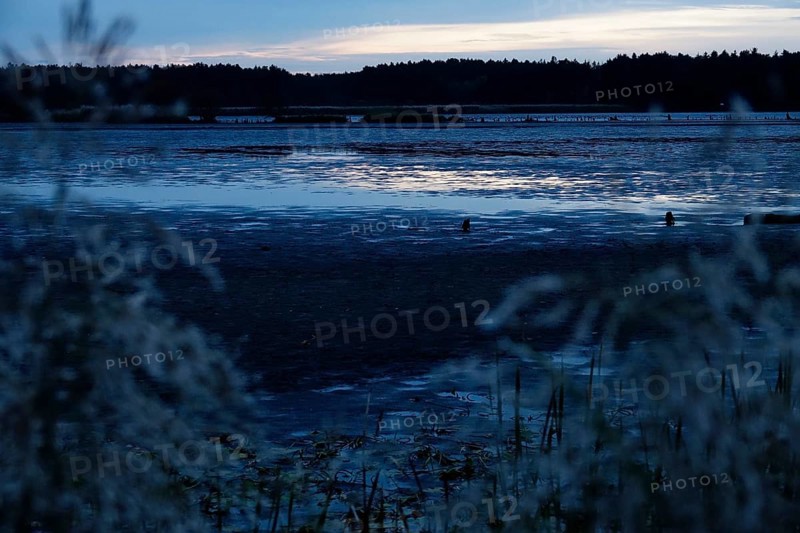 Upper Lusatian Heath and Pond Landscape, October, Lusatia, Saxony, Germany, Europe