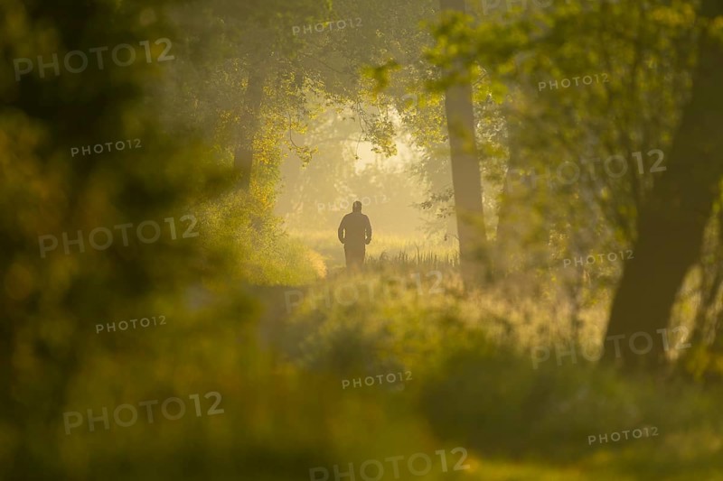 Jogger running on a forest path, Lower Saxony, Germany, Europe