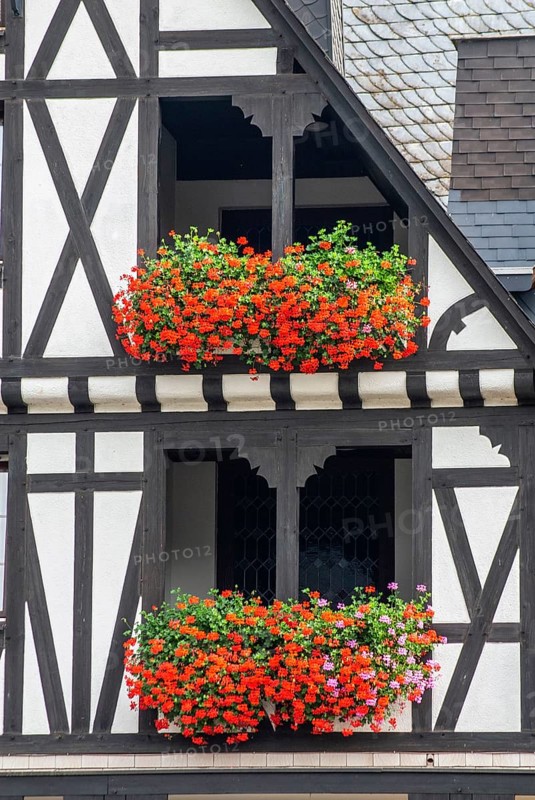 Balconies with lots of flowers in a typical half-timbered house in Ernst, Landkreis Cochem-Zell, Mosel Valley, Moselle valley, Rhineland-Palatinate, Germany, Europe