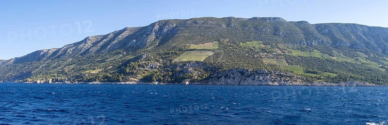 Vineyard on steep slopes by the sea, Peljesac peninsula, near Trstenik, Dalmatia, Croatia, Europe