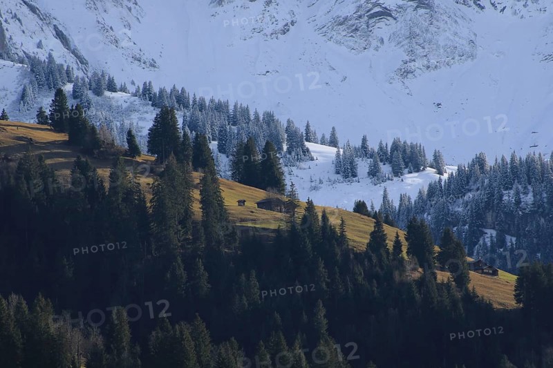 Two seasons at once