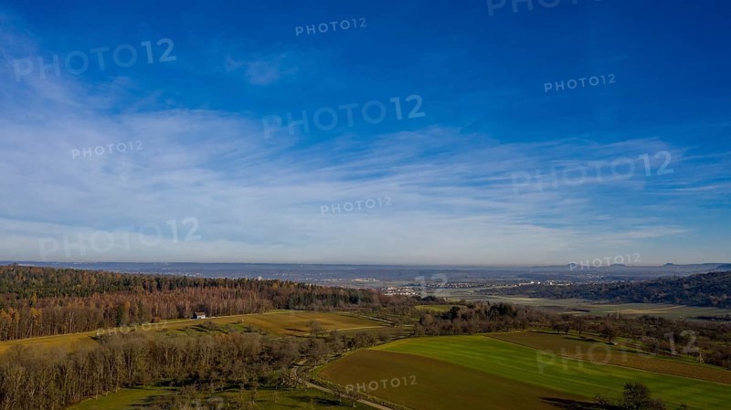 Fields