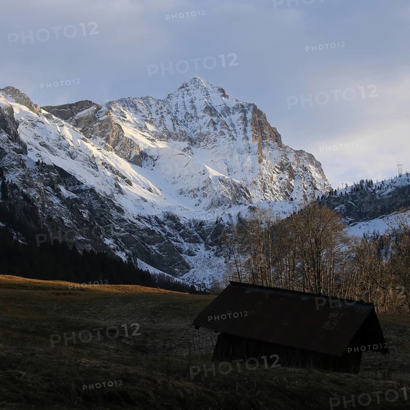 Sun lit meadow and snow covered Mount Arpelistock