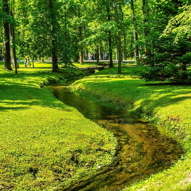 Brook and grass in park in Peterhof, Saint-Petersburg, Russia, Europe