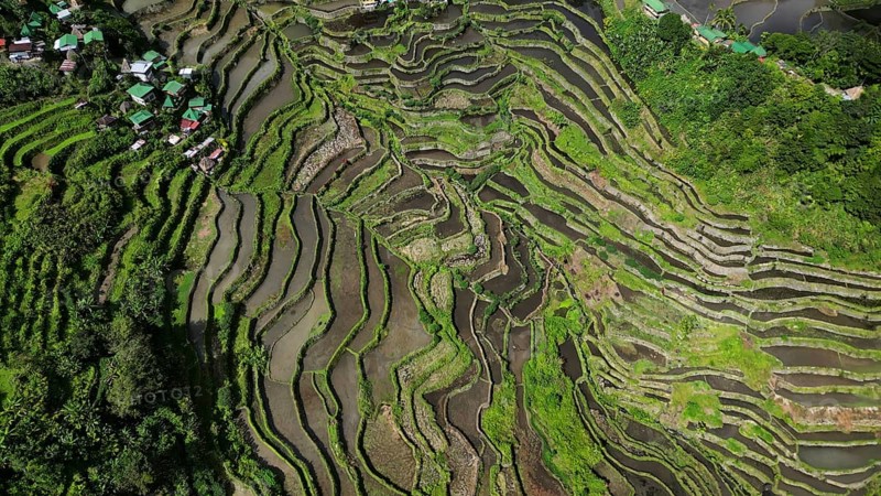 Aerial view of picturesque Batad Rice Terraces in Ifugao Province, Luzon Island, Philippines, Asia