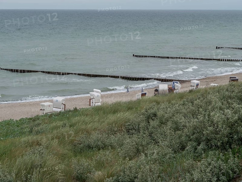 The beach features a row of beach chairs overlooking the sea, which is protected by wooden breakwaters. The sky is grey and the atmosphere calm, ahrenshoop, zingst, Baltic Sea, Germany, Europe