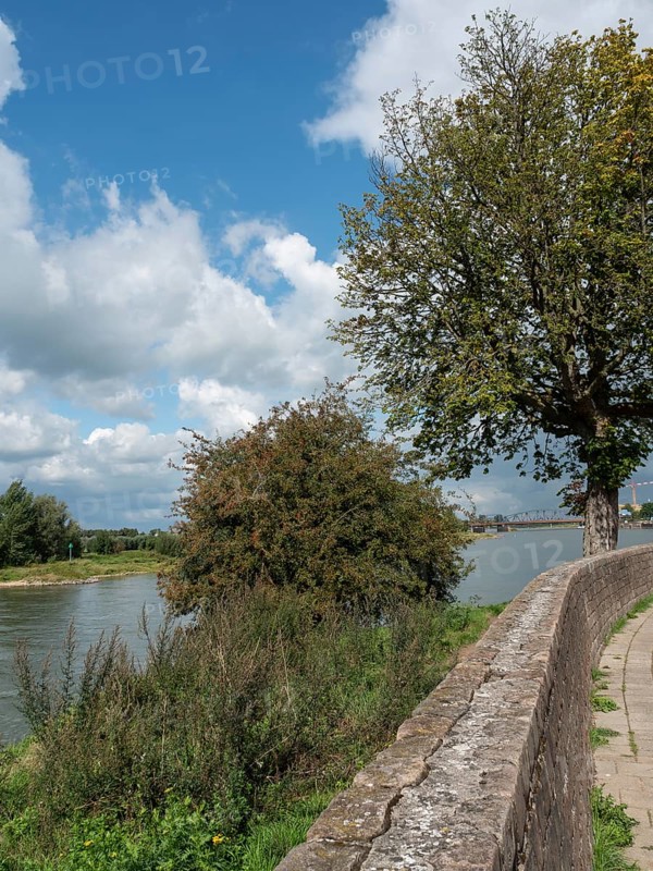 River landscape with walkway running along a wall with trees and sky in the background, zutphen, Netherlands