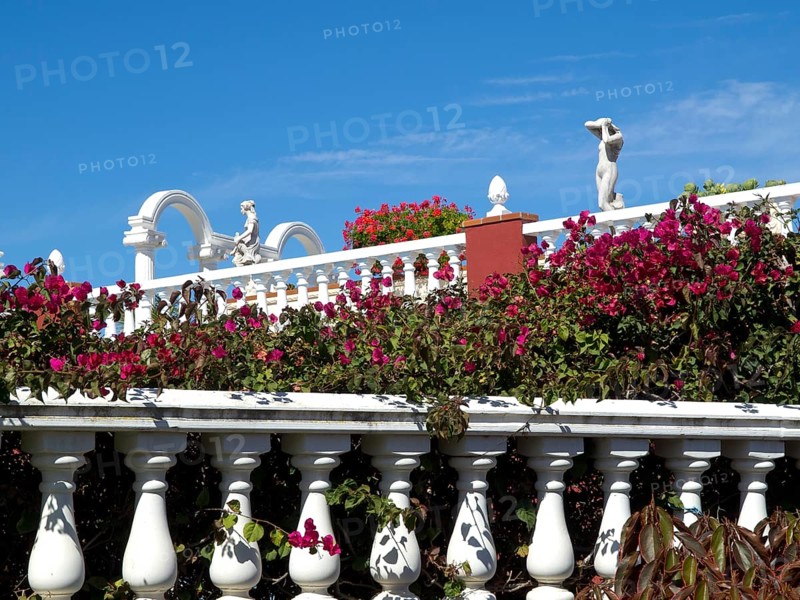 White balustrade with pink flowers and architecture in the background on a sunny day, puerto de la cruz, tenerife, spain