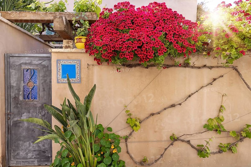 Israel, Tel Aviv historic neighborhood Neve Tzedek with art galleries, boutiques and old houses, Asia