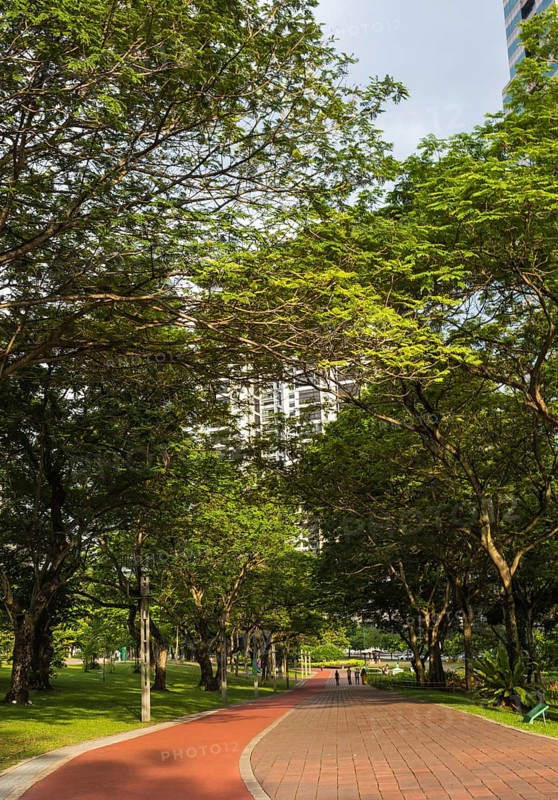 City park with large trees and a brick walkway
