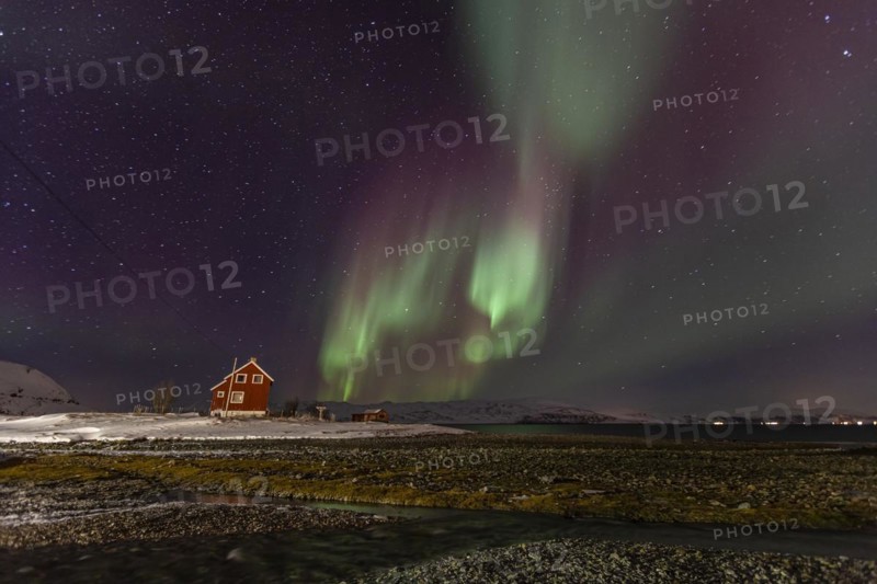 Green and violet northern lights over a red house on the coast, aurora borealis, winter, snow, Repparfjord, Finnmark, Norway, Europe