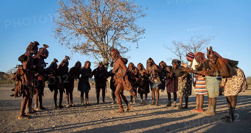Group of traditional Himba woman standing in a semi-circle, clapping and dancing, music and dance, in the evening light, near Opuwo, Kaokoveld, Kunene, Namibia, Africa