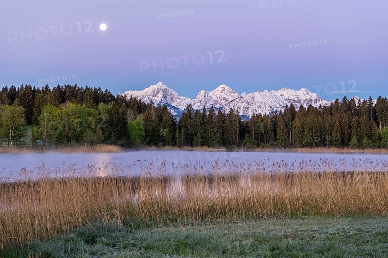 Hegratsrieder See near Füssen, Allgäu Alps, snow, moon, dawn, Allgäu, Bavaria, Germany, Europe