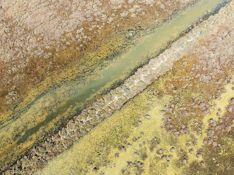 Detail of marshland near Sanlúcar de Barrameda. Aerial view. Drone shot. Cádiz province, Andalusia, Spain, Europe