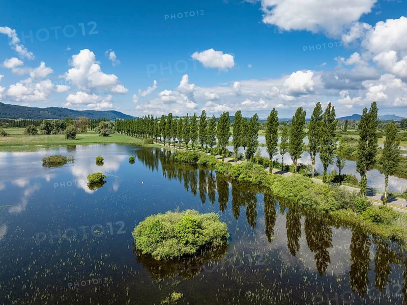 Aerial view of the Mooser Damm with the Pappelallee on the western part of Lake Constance connecting the town and the surrounding area of Radolfzell with the Höri peninsula. In the past, the road had to be closed at times due to flooding, District of Constance, Baden-Württemberg, Germany, Europe