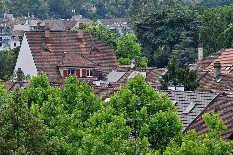 Symbol photo Apartment blocks Old flats Roofs