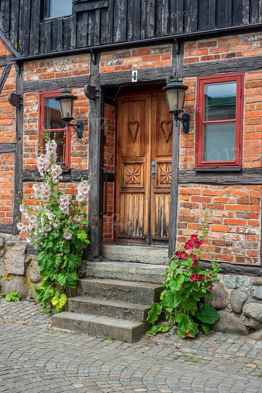 Hollyhocks (Alcea rosea) at a door tin a half-timbered house in a small street in the idyllic downtown of Ystad, Scania, Sweden, Scania, Scandinavia, Europe