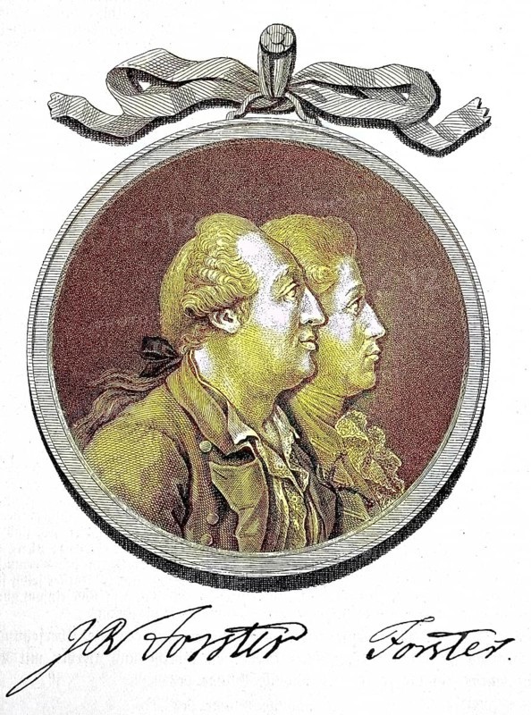 Johann Georg Adam Forster, 27 November 1754, 10 January 1794, was a German naturalist, ethnologist, travel writer and revolutionary in the Age of Enlightenment, digital reproduction of an original from the 19th century, original date unknown