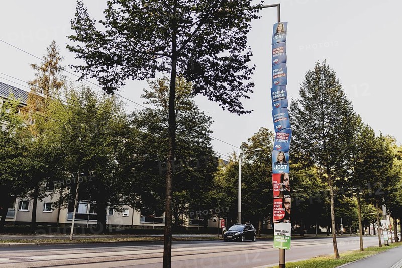Election posters hanging from a lamppost, taken in Dresden, 31 August 2024. A new state parliament will be elected in Saxony on 1 September