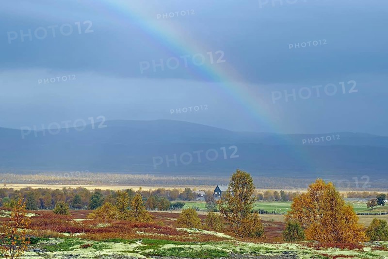 Picturesque landscape with rainbow over autumn coloured trees and mountains in the background, reindeer lichen, Valasjoen, Dovrefjell-Sunndalsfjella National Park, Norway, Europe