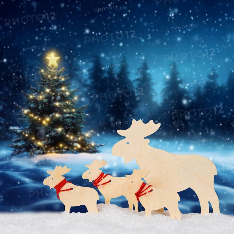 Christmas card for Christmas Card with reindeer moose and text free space Copyspace decoration and Christmas tree square in Stuttgart, Germany, Europe