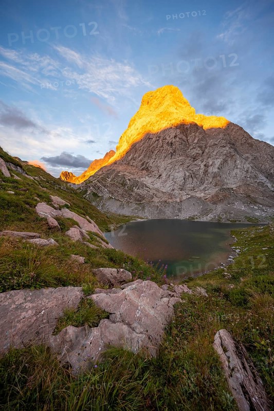 Alpenglow at Seekopf or Monte Capolago, reflection in Wolayersee, mountain landscape with green meadows and mountain lake at sunset, Carnic Alps, Carnic High Trail, Carinthia, Austria, Europe