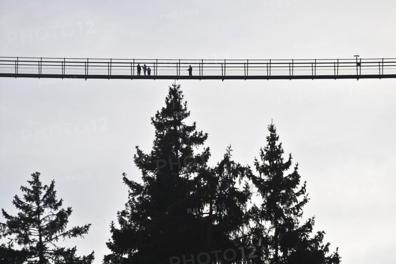 Skywalk Willingen with people on the longest pedestrian suspension bridge in Germany, Sauerland, Hesse