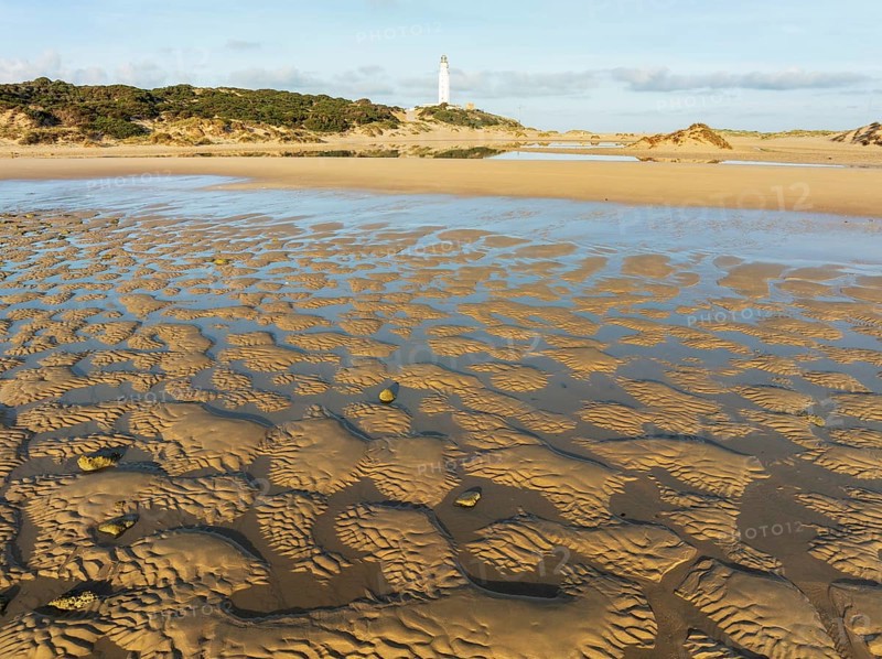 Cape Trafalgar at the Atlantic Ocean at low tide. Aerial view. Drone shot. Costa de la Luz, Cádiz province, Andalusia, Spain, Europe