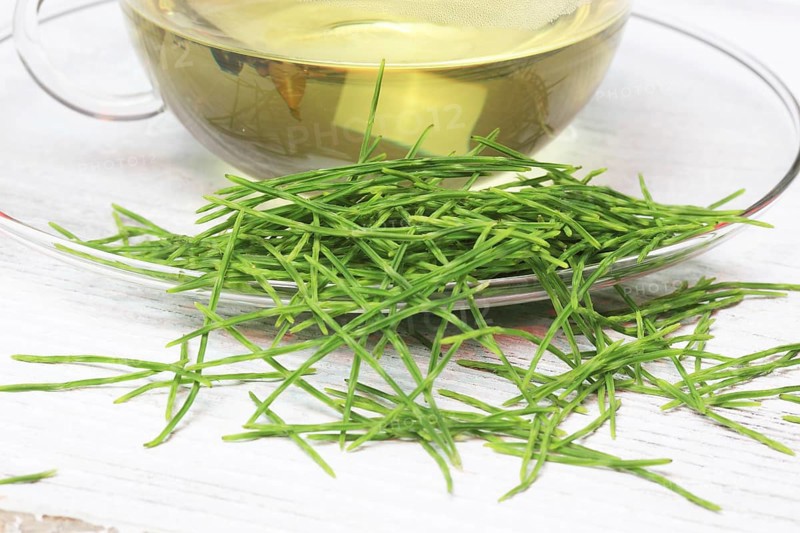 Horsetail tea, tea, medicinal tea, herbal tea, medicinal plant, Equisetum arvense, the field horsetail or horsetail herb