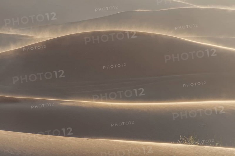 Sand dunes, Erg Chebbi, Sahara, Southern Morocco, Morocco, Africa