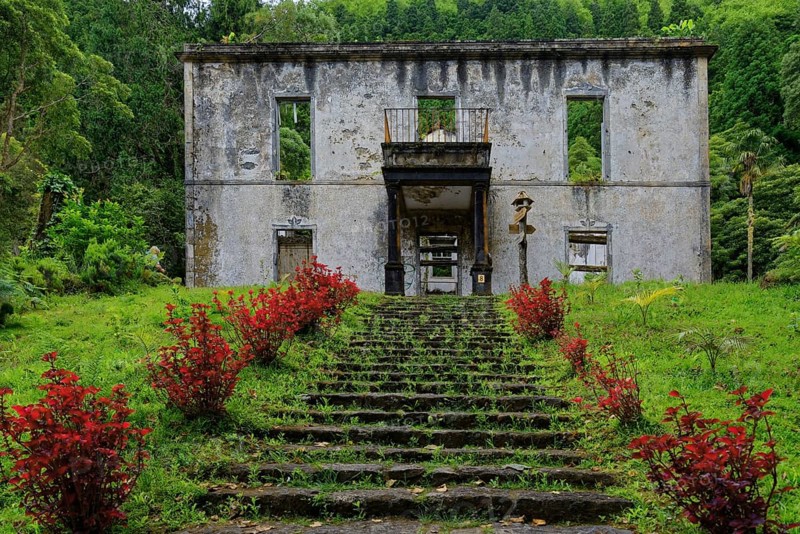 An abandoned ruined building in the middle of a wooded area, an overgrown stone staircase leads up, Grená's House, Grena Park, Furnas, George Hayes, Lagoa das Furnas, Sao Miguel Island, Azores, Portugal, Europe