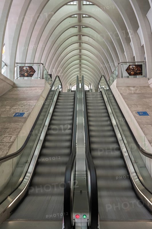 Liège-Guillemins railway station, architect Santiago Calatrava, escalator in motion with curved roof, Liège, Belgium, Europe