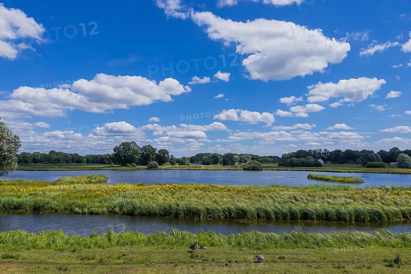 Steinhorst Basin, nature reserve, nature, Ems, tourism, landscape, Delbrücker Land, Steinhorst, Paderborn, Germany, Europe
