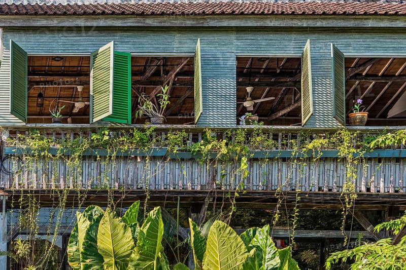 Facade of a wooden house, house, architecture, building, facade, texture, open, wooden facade, historical, history, overgrown, overgrown, house wall, pastel, pastel-coloured, window, building, Balinese, Asian, old, plant, wall, wood, wooden, dilapidated, dilapidated charm, building material, living, rural, living style, open, open, culture, Ubud, Bali, Indonesia, Asia