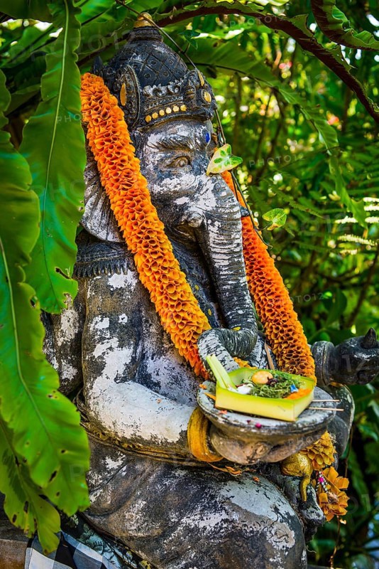 Traditional Ganesha, offering, gift, sacrifice, Hinduism, Ganesha, elephant figure, statue, temple, religion, world religion, god, elephant, sculpture, temple figure, art, culture, figurine, deity, icon, decoration, believer, faith, sculpture, fantasy, art figure, pray, representation, religious, journey, spirituality, traditional, peace, bless, meditation, mythology, sacred, Asian, decorated, abstract, wisdom, image, depiction, adorn, adorned, tradition, Bali, Indonesia, Asia