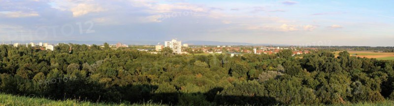 View from Michaelsberg in Maudacher Bruch, Ludwigshafen