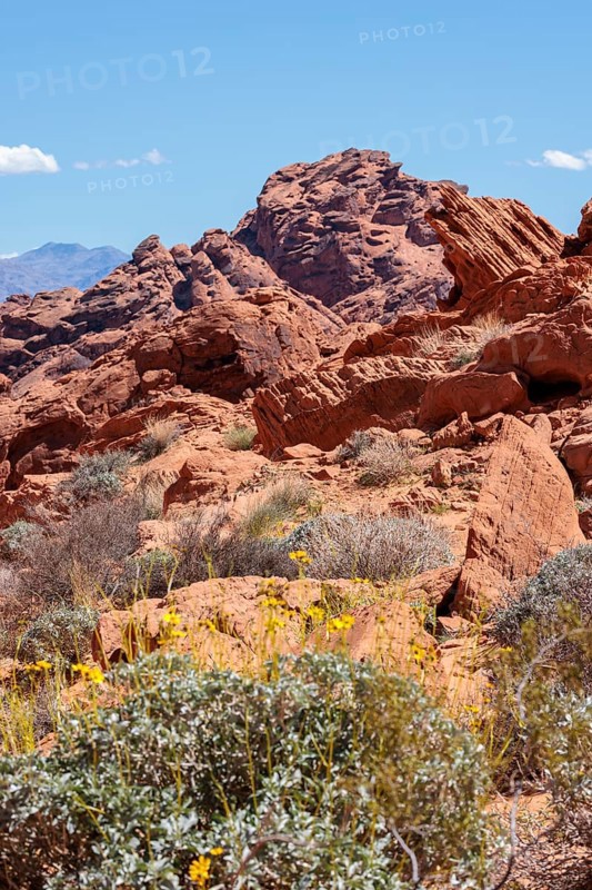 Rock formations along the Fire Canyon Overlook Trail at Valley of Fire State Park near Overton, Nevada