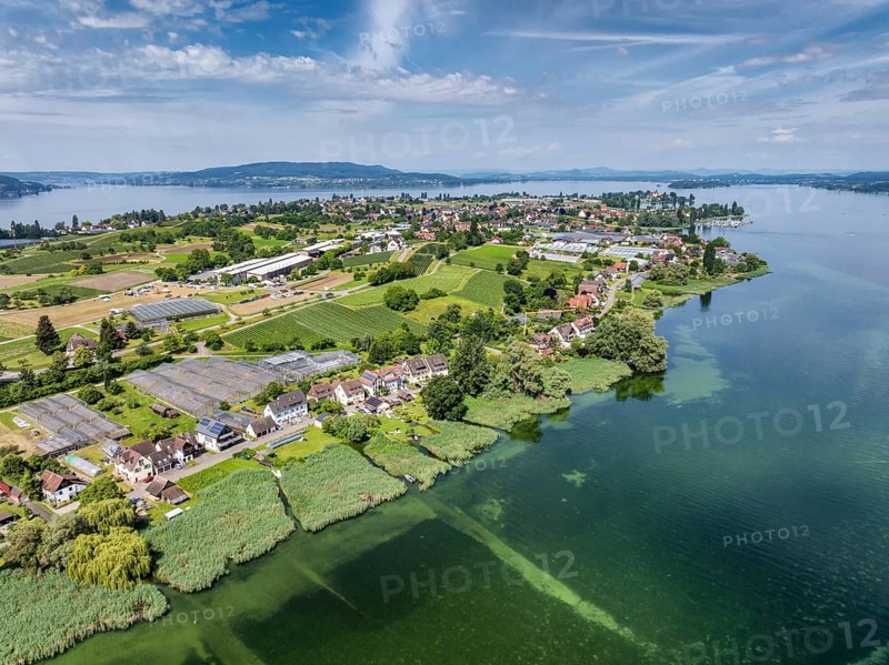 Aerial view of the island of Reichenau seen from the north, on the horizon the Höri peninsula, the Hegau mountains and the Mettnau peninsula near Radolfzell on Lake Constance, district of Constance, Baden-Württemberg, Germany, Europe