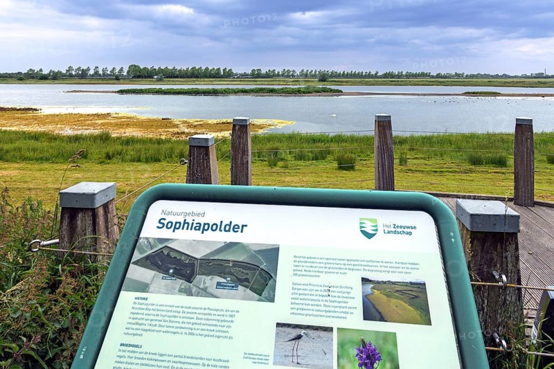 Sophia Polder, Sophiapolder, nature reserve and refuge for water birds near Oostburg, Zeeland, Netherlands