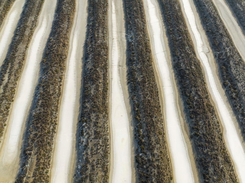 Saline ponds at the salt works near Chiclana de la Frontera. Aerial view. Drone shot. Cádiz province, Andalusia, Spain, Europe