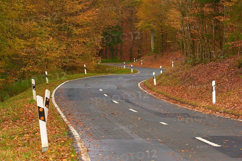 A winding road leads through an autumnal forest, covered with falling leaves, Altenbuch, Miltenberg district, Spessart, Bavaria, Germany, Europe
